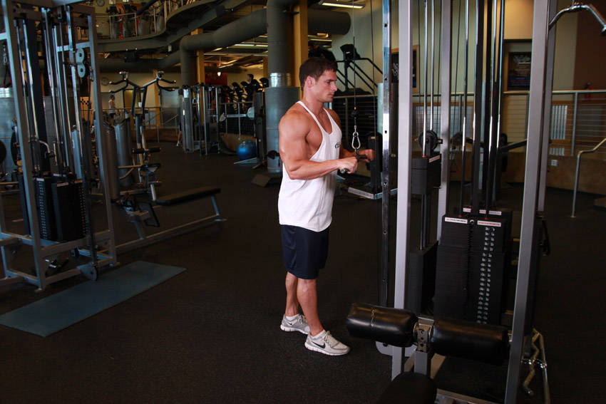 Extension triceps poulie haute